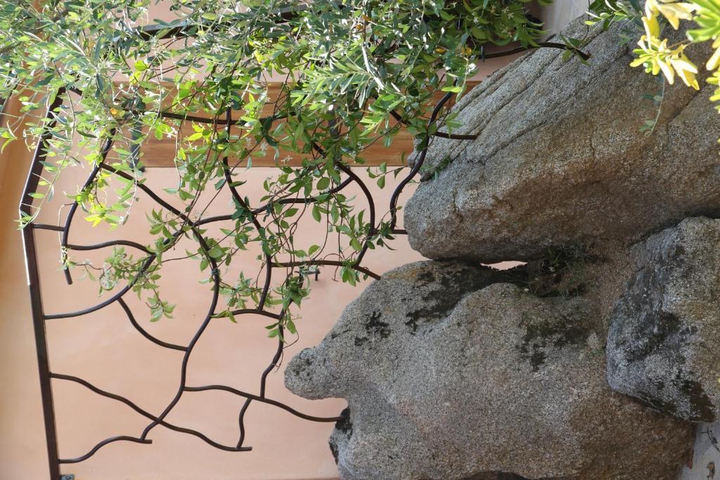 Residence A Licetta Porto-Vecchio  Phòng bức ảnh
