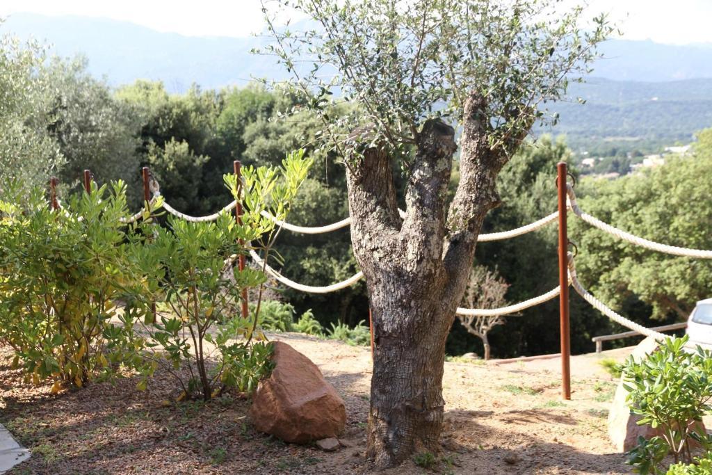 Residence A Licetta Porto-Vecchio  Phòng bức ảnh
