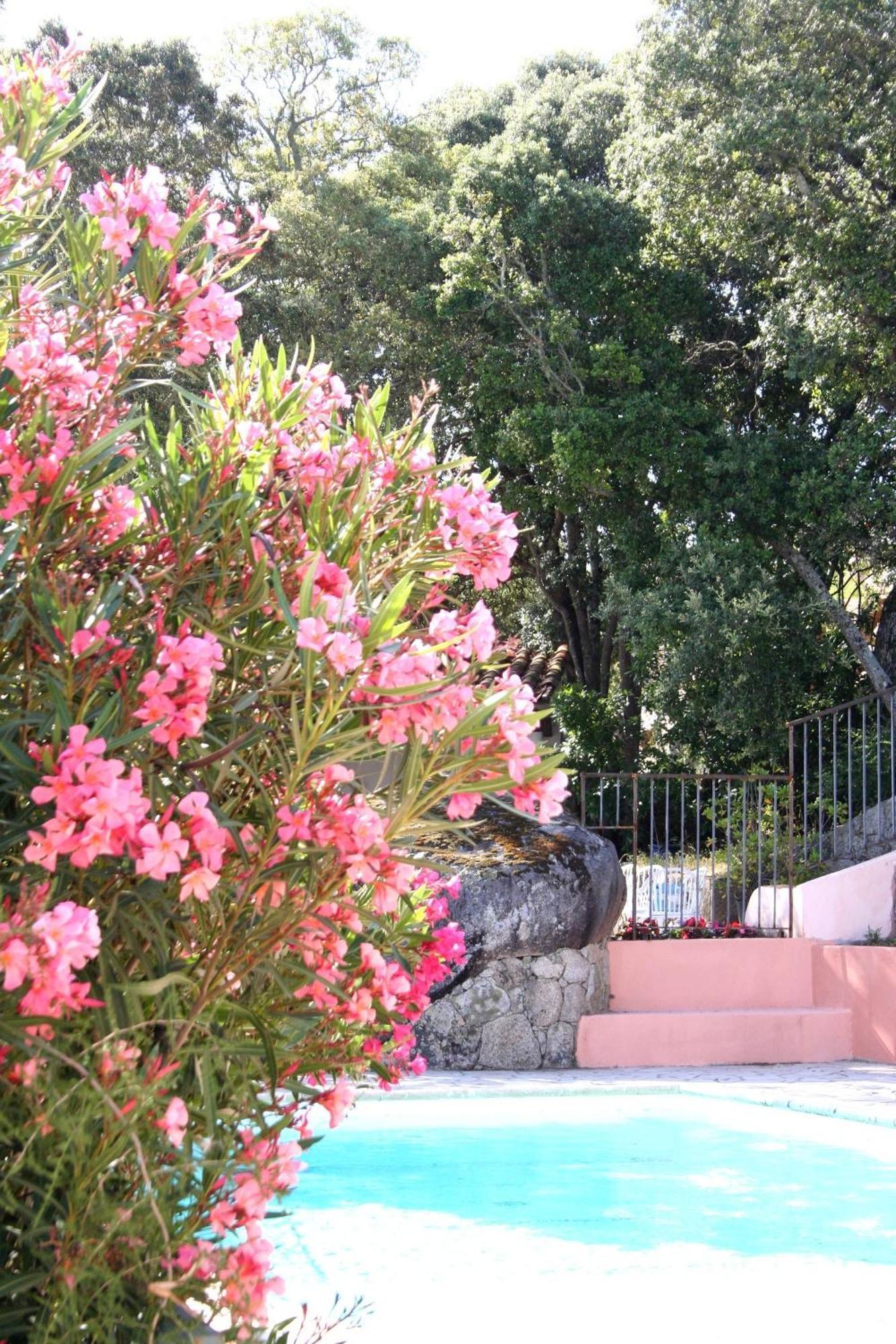 Residence A Licetta Porto-Vecchio  Ngoại thất bức ảnh